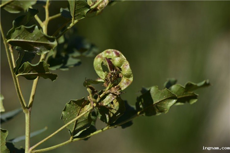 1706688102215174.jpg 2-18-2.jpg