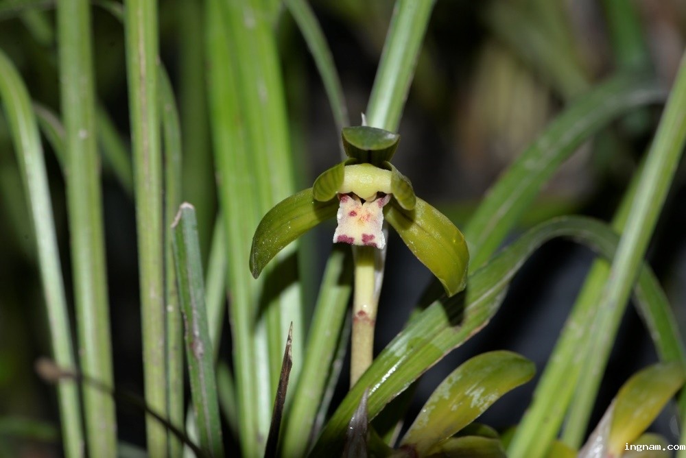 1705915671546041.jpg 1705915671546041.jpg