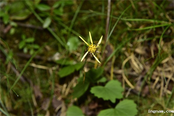 1710145853367094.jpg 12-2.jpg