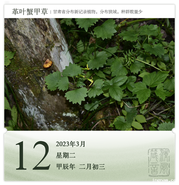 1710145839912775.png 箴历日历3-12.png