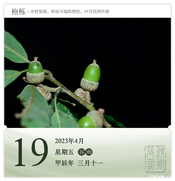 1713342051869324.png 箴历日历4-19.png