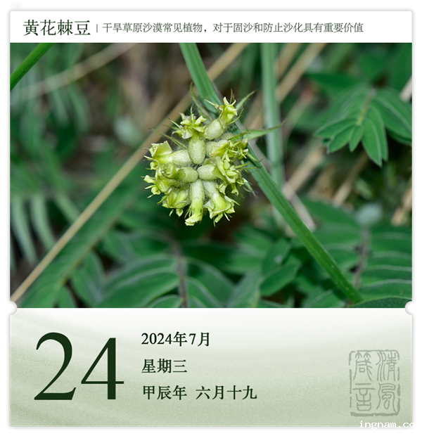 1721720696620416.png 箴历日历7-24.png