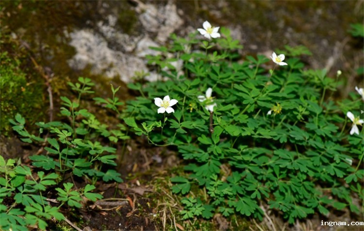 1720432395208246.jpg 11-2.jpg