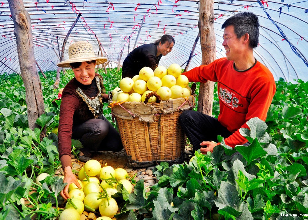 1719994150771761.jpg 1719994150771761.jpg